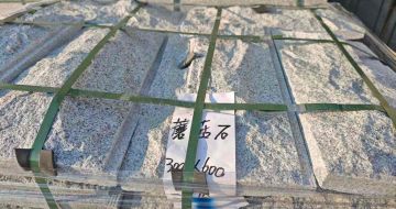 海南芝麻白蘑菇石，自然面