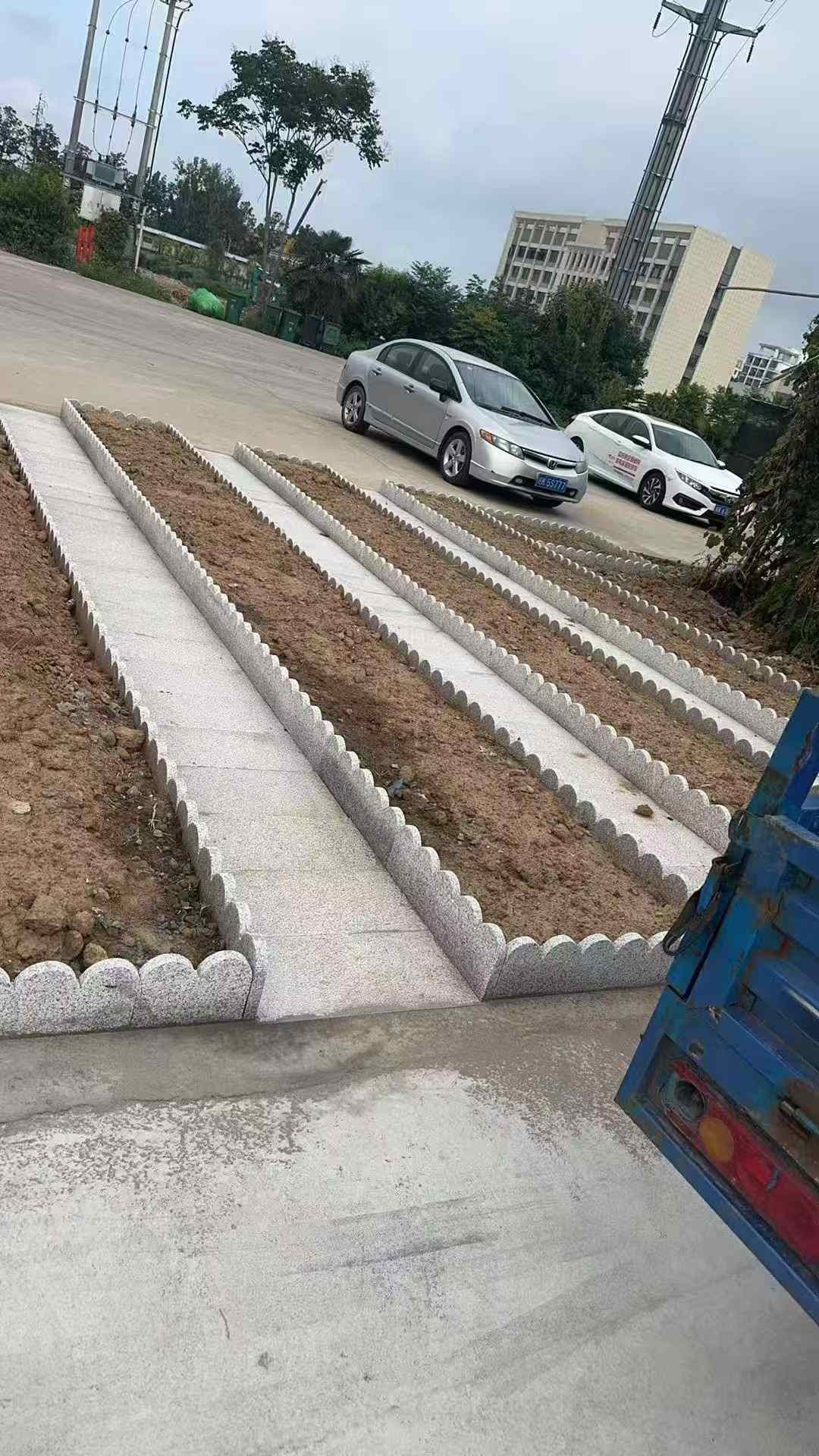 海南芝麻白花边石